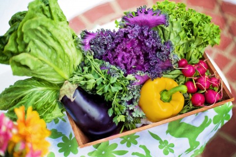 アンチエイジングに効果のある食べ物