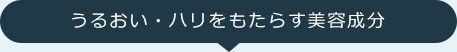 うるおい・ハリをもたらす美容成分