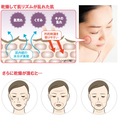 年齢によって肌の水分量が減少