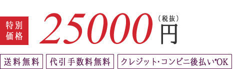 25000円（税抜）